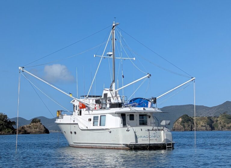 PXL_20251017_042740460